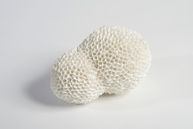 1609911367586644.png 图片3.png