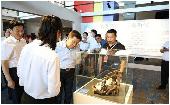 1595323444729996.png image.png